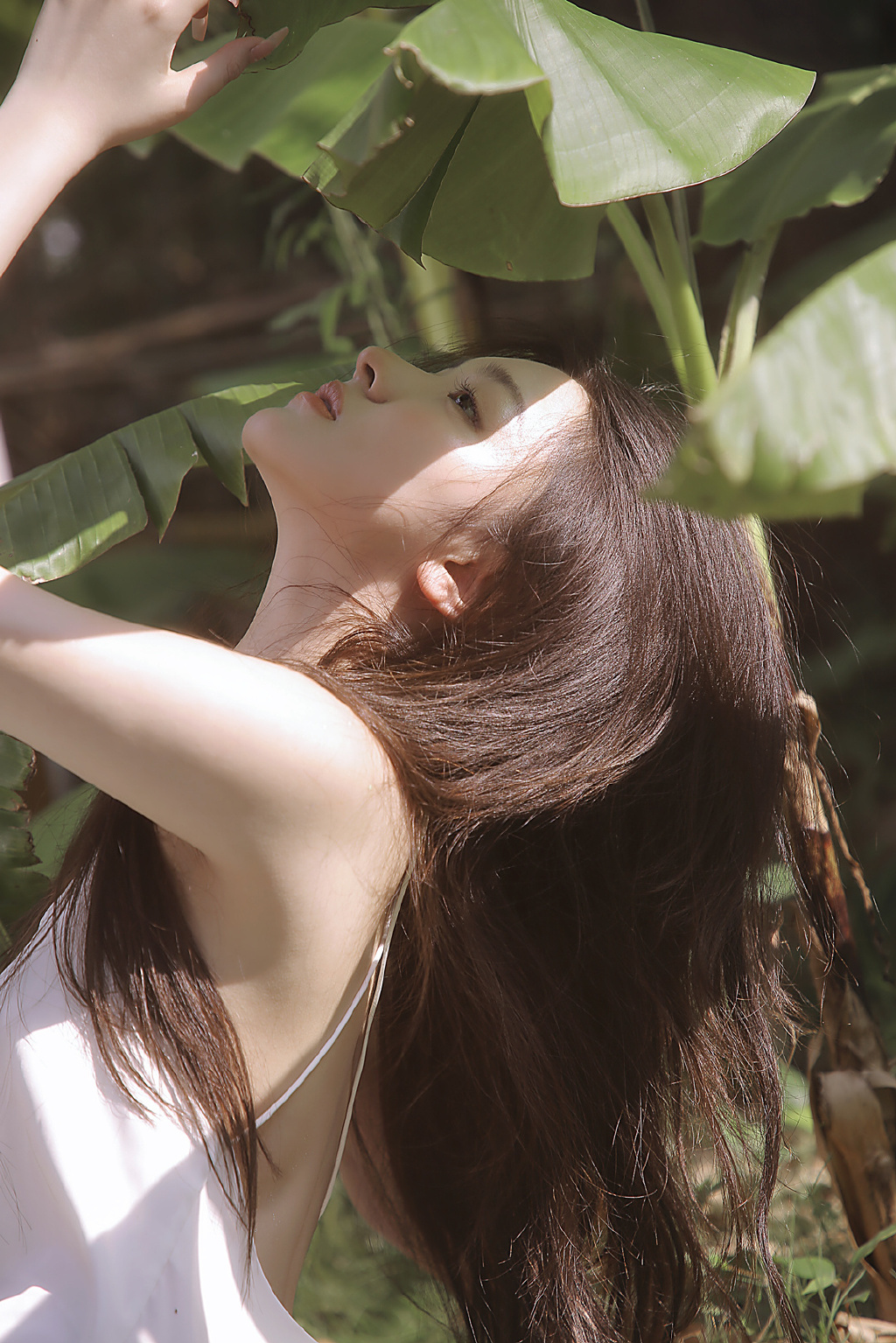 芭蕉树，雨林，吊带连衣裙美女淋雨湿身唯美户外写真图片  第8张